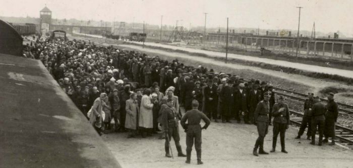 https://www.tvmustra.hu/blog_pic/eletauschwitzban_0_o.jpg